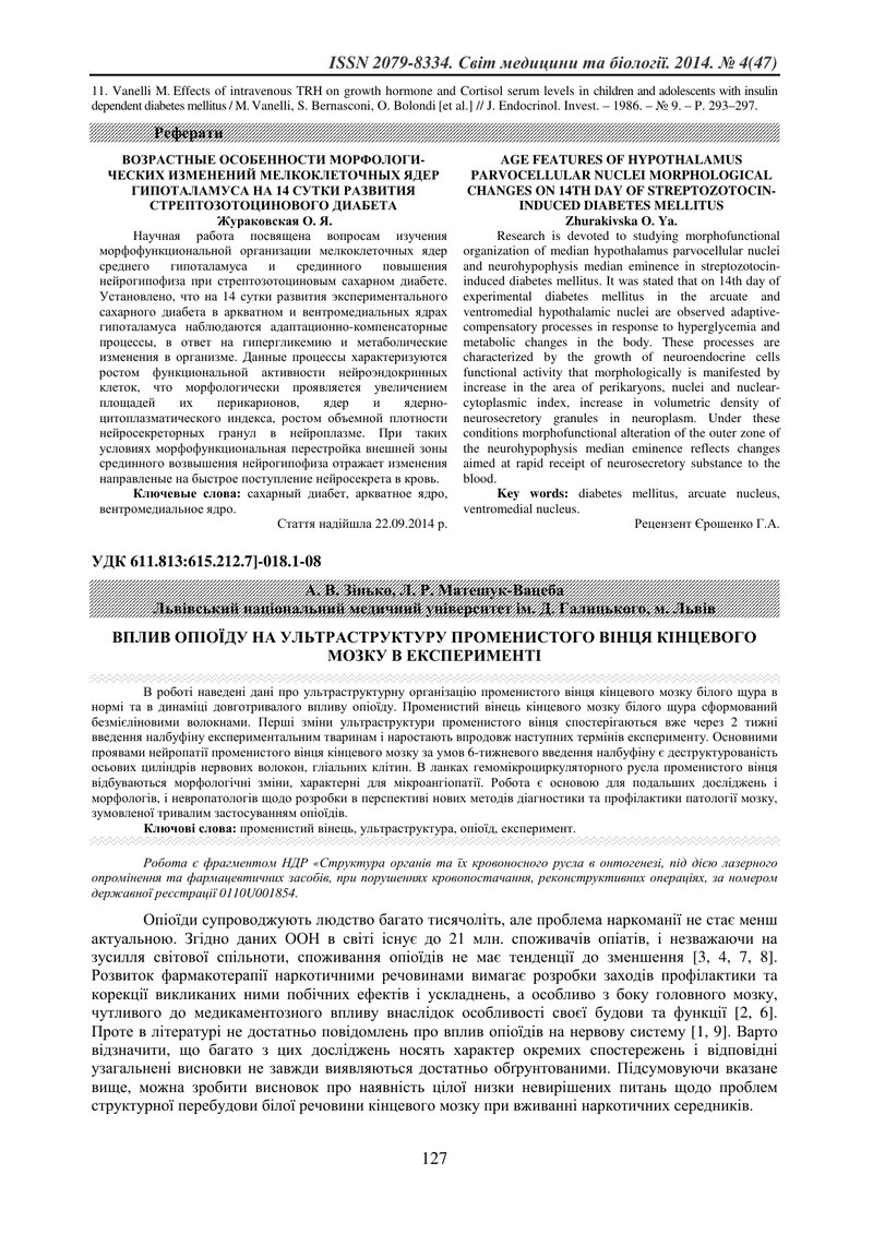 ВПЛИВ ОПІОЇДУ НА УЛЬТРАСТРУКТУРУ ПРОМЕНИСТОГО ВІНЦЯ КІНЦЕВОГО МОЗКУ В ЕКСПЕРИМЕНТІ