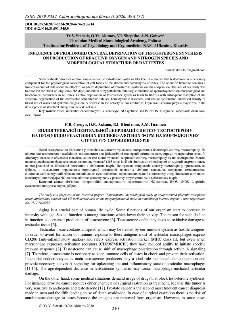 ВПЛИВ ТРИВАЛОЇ ЦЕНТРАЛЬНОЇ ДЕПРИВАЦІЇ СИНТЕЗУ ТЕСТОСТЕРОНУ  НА ПРОДУКЦІЮ РЕАКТИВНИХ КИСНЕВО-АЗОТНИХ 