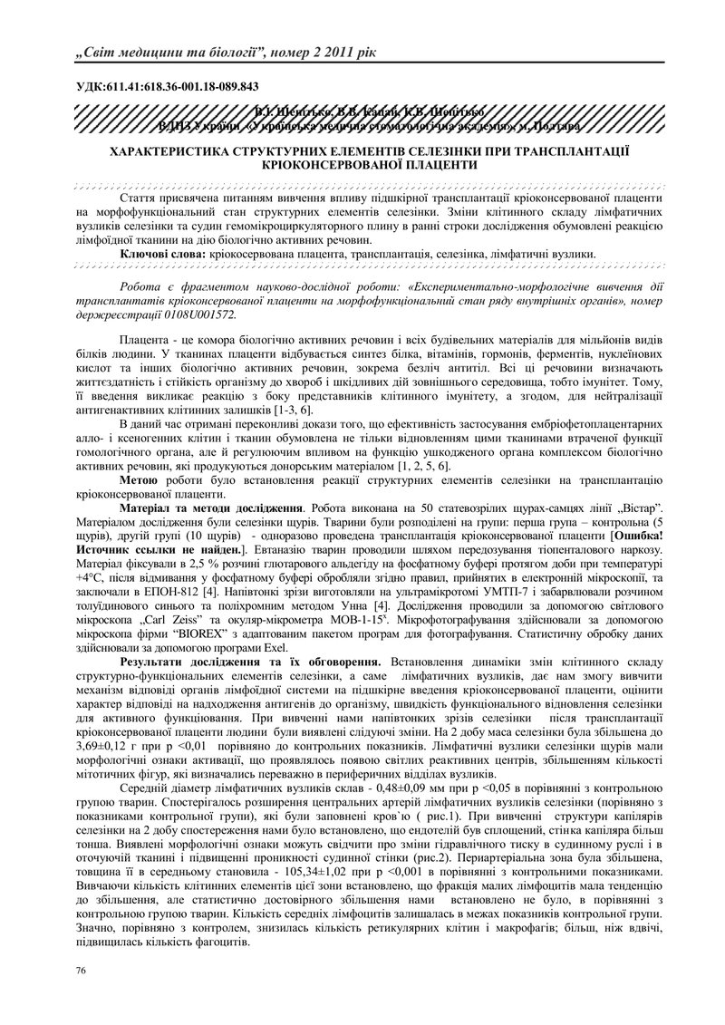 ХАРАКТЕРИСТИКА СТРУКТУРНИХ ЕЛЕМЕНТІВ СЕЛЕЗІНКИ ПРИ ТРАНСПЛАНТАЦІЇ КРІОКОНСЕРВОВАНОЇ ПЛАЦЕНТИ