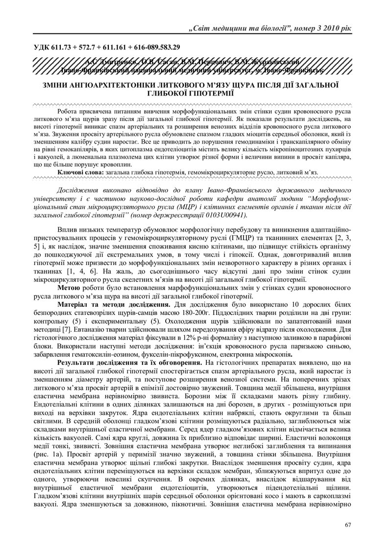 ЗМІНИ АНГІОАРХІТЕКТОНІКИ ЛИТКОВОГО М’ЯЗУ ЩУРА ПІСЛЯ ДІЇ ЗАГАЛЬНОЇ ГЛИБОКОЇ ГІПОТЕРМІЇ
