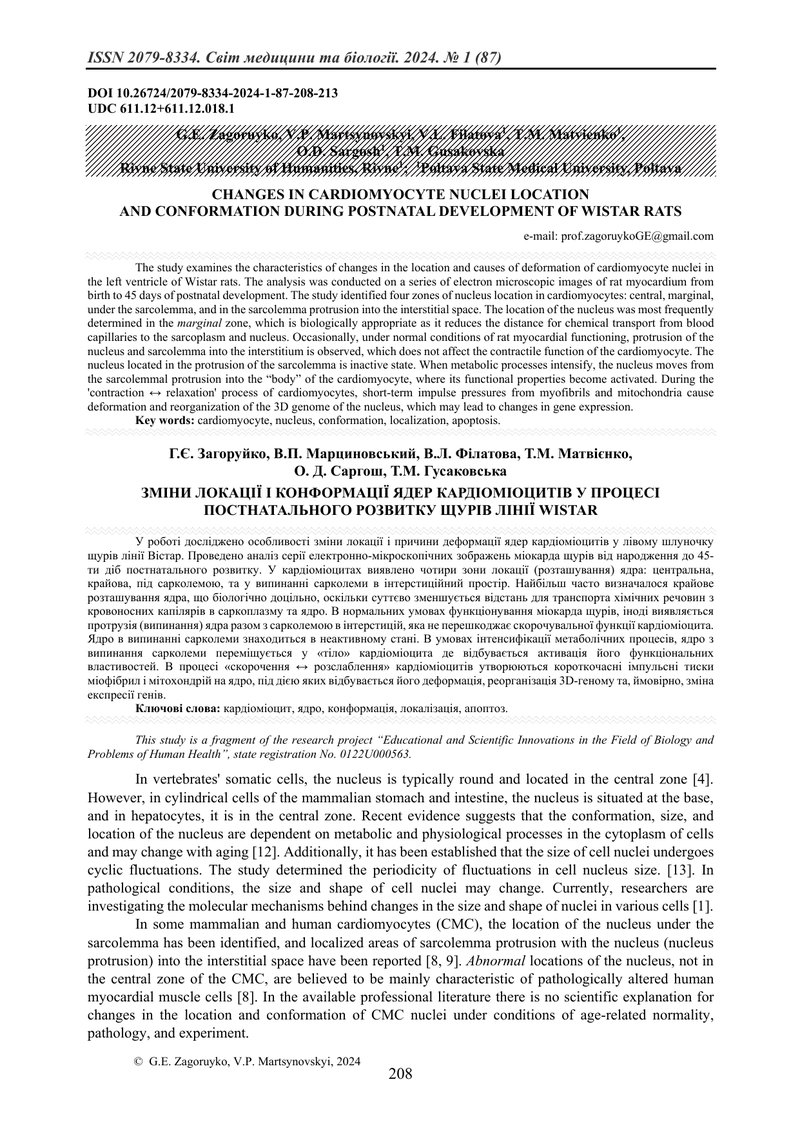 ЗМІНИ ЛОКАЦІЇ І КОНФОРМАЦІЇ ЯДЕР КАРДІОМІОЦИТІВ У ПРОЦЕСІ ПОСТНАТАЛЬНОГО РОЗВИТКУ ЩУРІВ ЛІНІЇ WISTAR