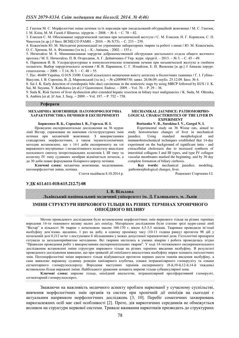ЗМІНИ СТРУКТУРИ НИРКОВОГО ТІЛЬЦЯ НА РІЗНИХ ТЕРМІНАХ ХРОНІЧНОГО ОПІОЇДНОГО ВПЛИВУ