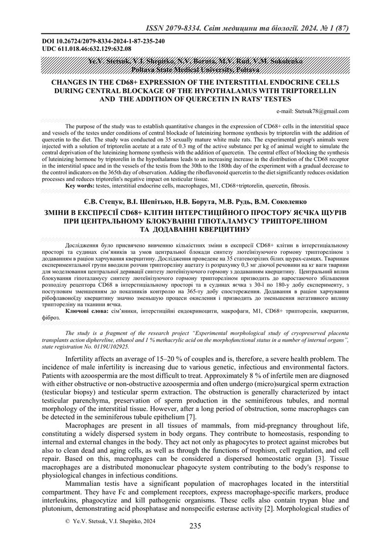 ЗМІНИ В ЕКСПРЕСІЇ СD68+ КЛІТИН ІНТЕРСТИЦІЙНОГО ПРОСТОРУ ЯЄЧКА ЩУРІВ ПРИ ЦЕНТРАЛЬНОМУ БЛОКУВАННІ ГІПО
